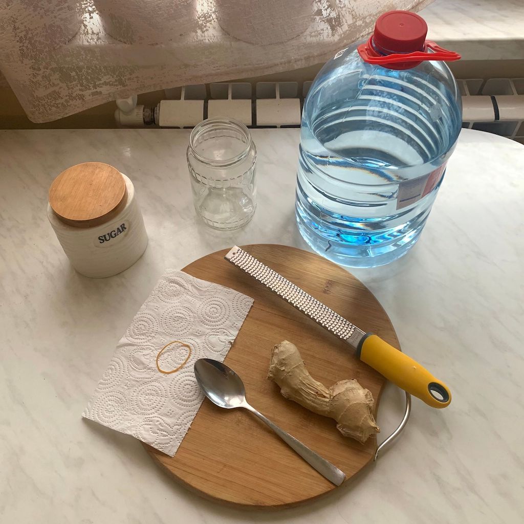 Ingredients and kitchen tools for making ginger bug starter culture