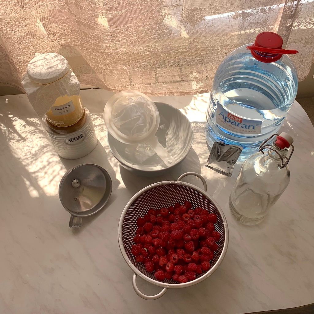 Ingredients and tools needed to make raspberry soda with ginger bug starter culture.