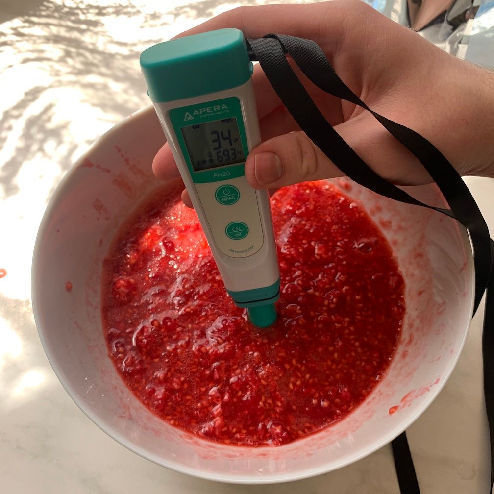 Measuring acidity of a raspberry mash with an Apera pH meter